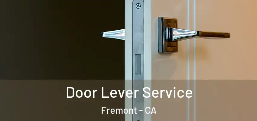  Door Lever Service Fremont - CA