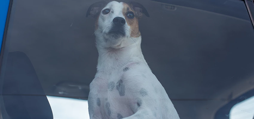 Car Lockout Solutions in Fremont, California