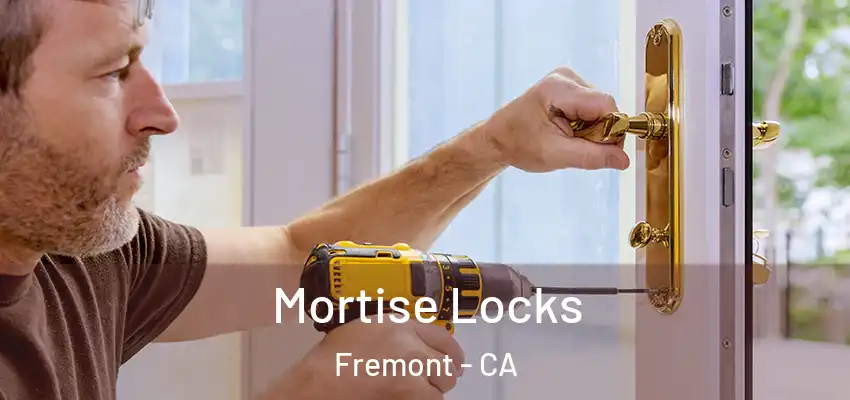 Mortise Locks Fremont - CA